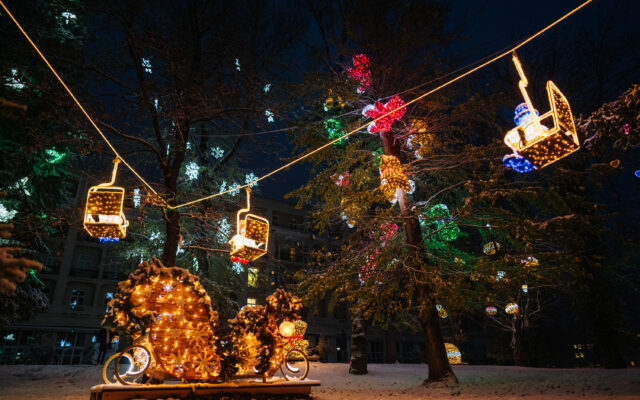 Insgesamt 150 Lichtinstallationen verwandeln den Park in einen echten Winter Wunder Wald.