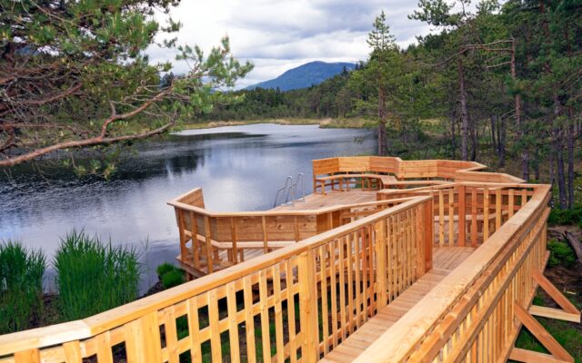 Neue Holzstege am Egelsee bei Spittal an der Drau führen durch das Moorgebiet am Waldrand.