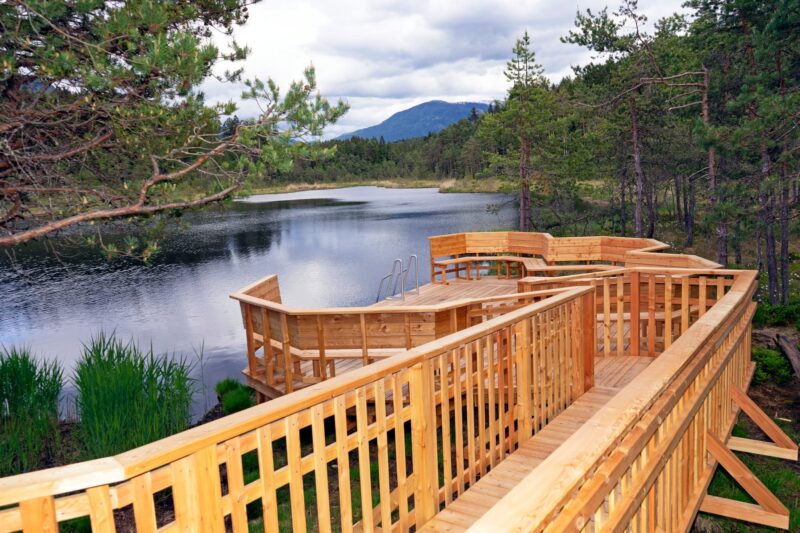 Neue Holzstege am Egelsee bei Spittal an der Drau führen durch das Moorgebiet am Waldrand.