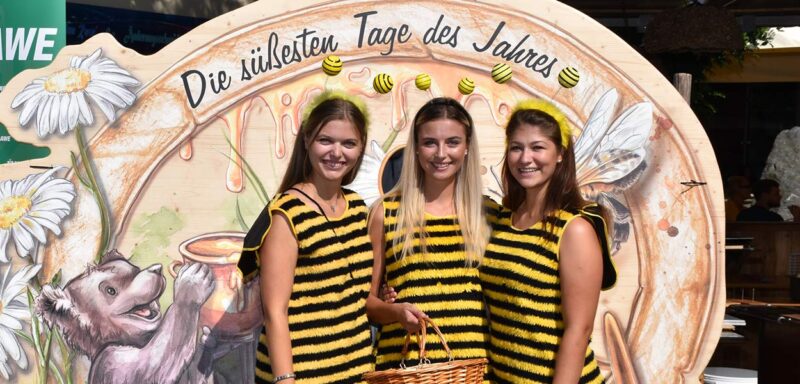 Süßer Festauftakt im Gailtal: Der Bienenzuchtverein Hermagor lädt vom 14. bis 16. August zum 23. Österreichischen Honigfest.