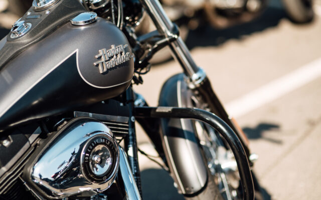 Harley-Davidson-Motorräder und Besucher bei der Harley Bike Week am Faaker See
